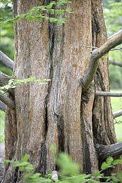 解谜游戏《Skye Tales》Steam页面上线 支持简繁体中文